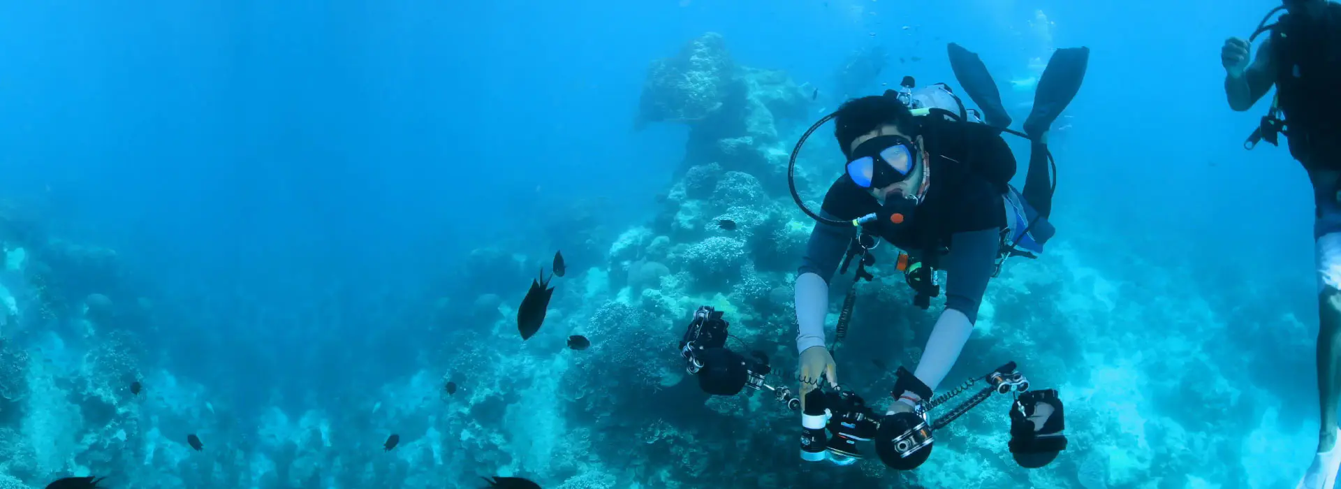 Связаться с нами